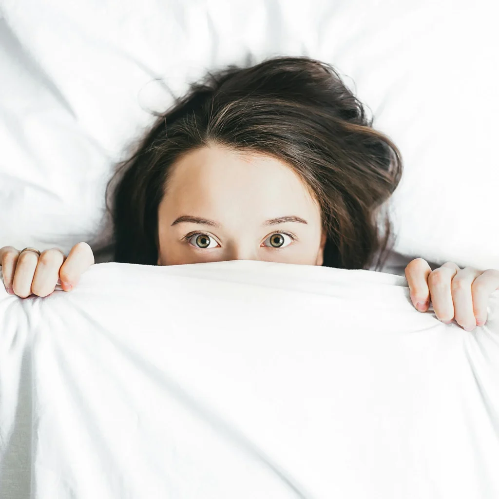 bed bug like insects