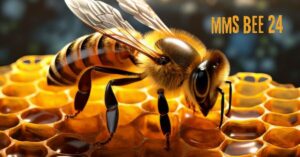 mms bee 24