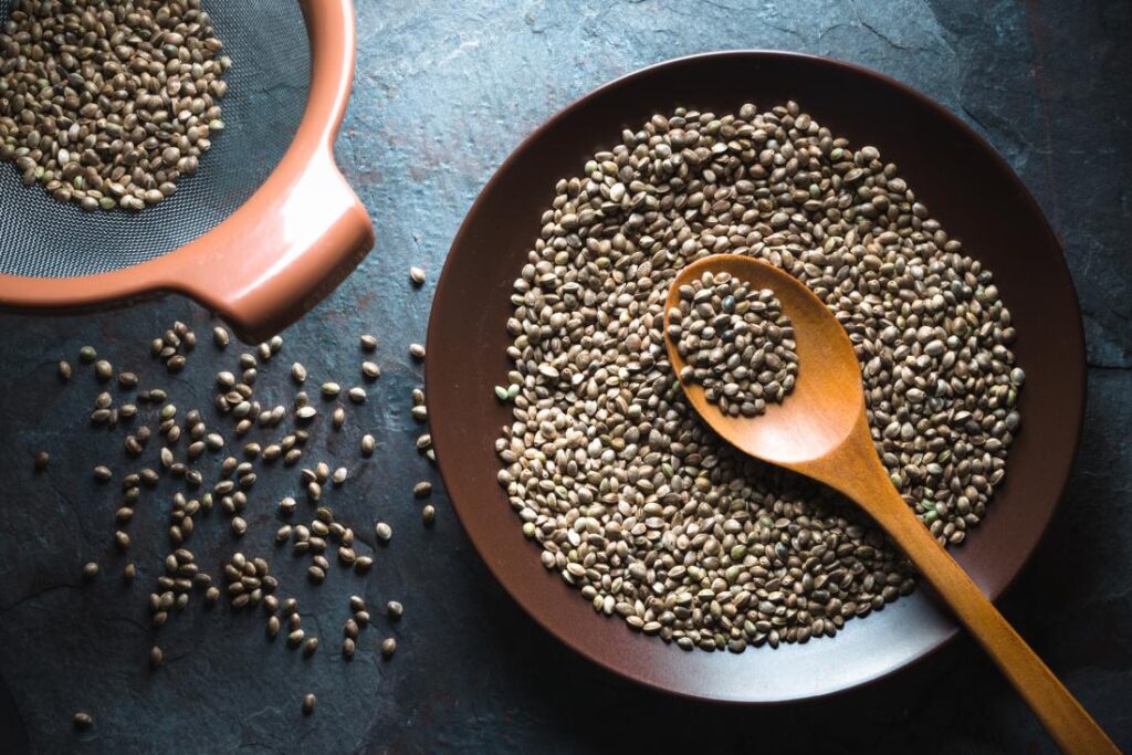 cannabis seeds