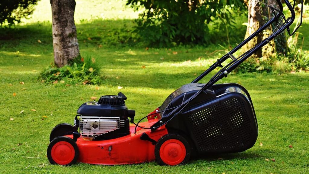 Lawn and Garden