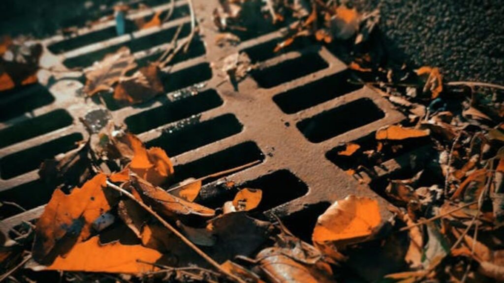 Sewer Drain