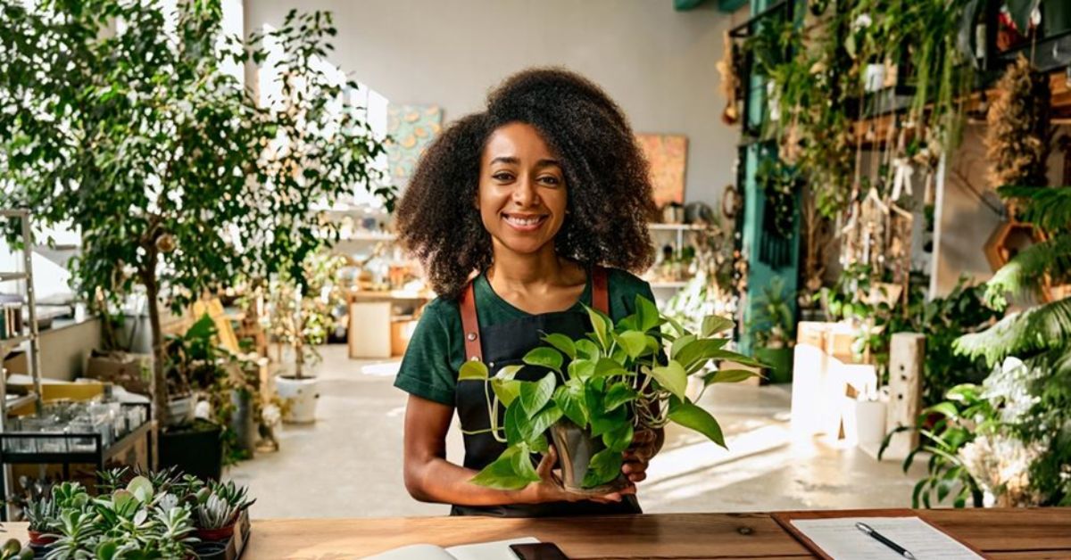 A Guide to Buy Plants Online