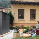 Patiowell vs Lifetime