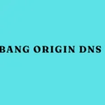 spankbang origin dns error