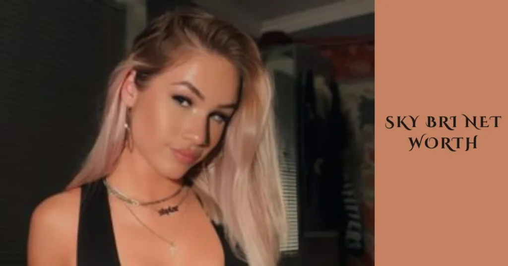 sky bri net worth