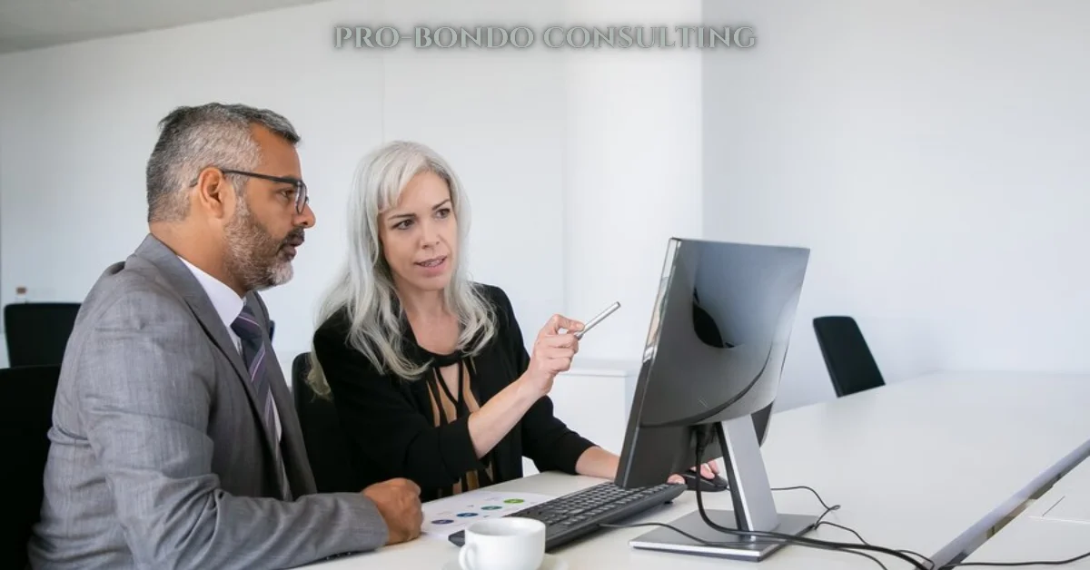 pro-bondo consulting
