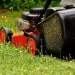 Lawn Care Tools