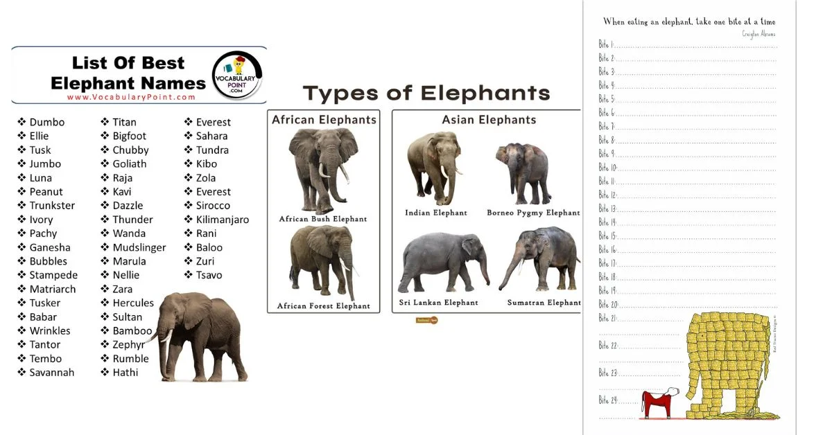 elephant list
