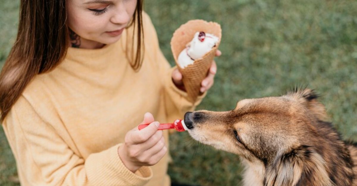 DOGS AND THE BEST REMEDIES