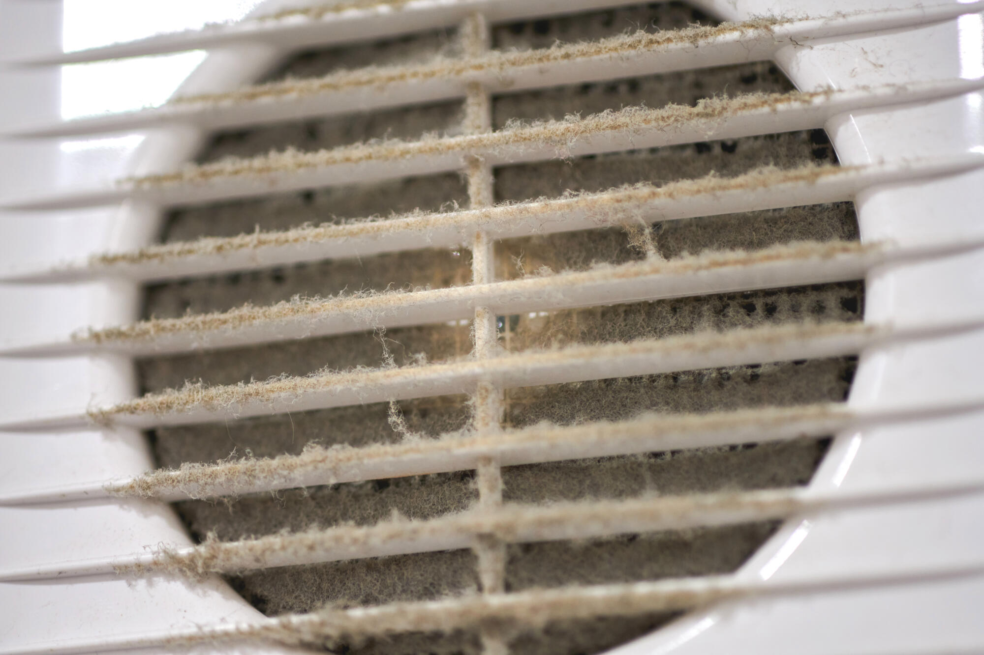 How to Choose the Right Commercial Air Duct Cleaning Service for Your Business