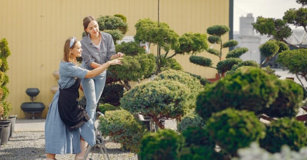 Low-Maintenance Landscaping: Modern Techniques for Effortless Beauty