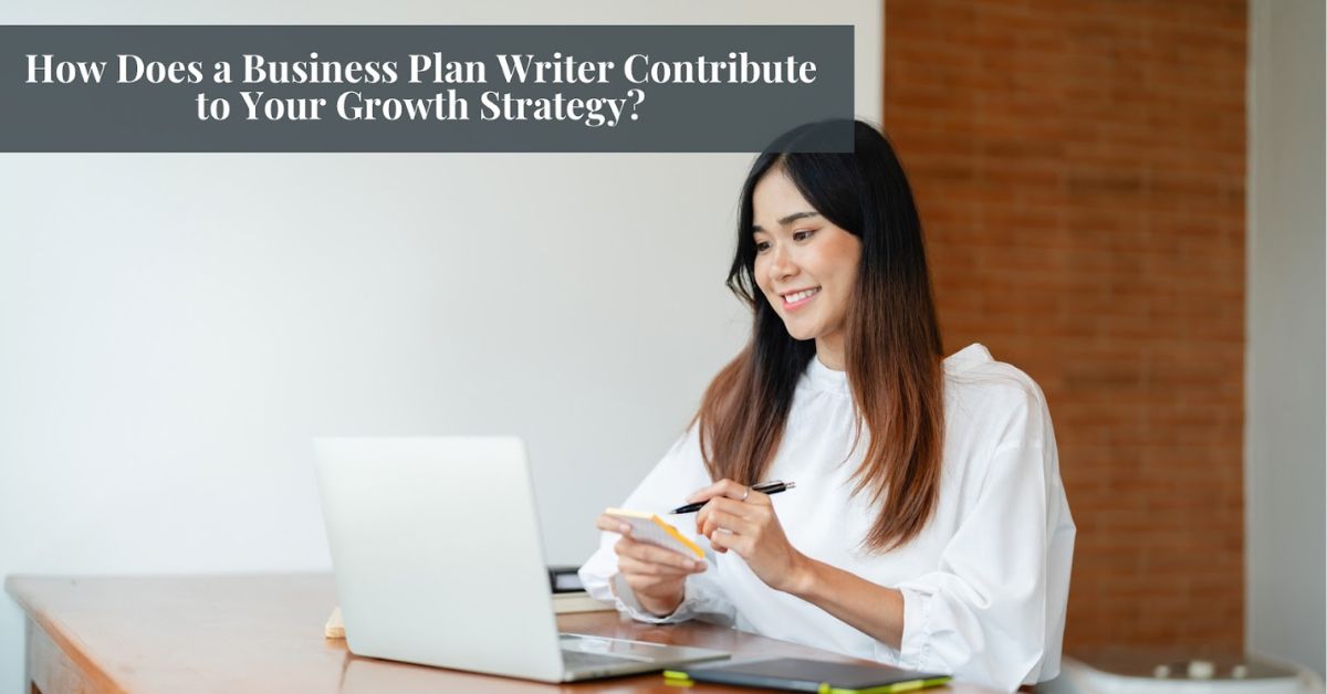 BUSINESS PLAN WRITER