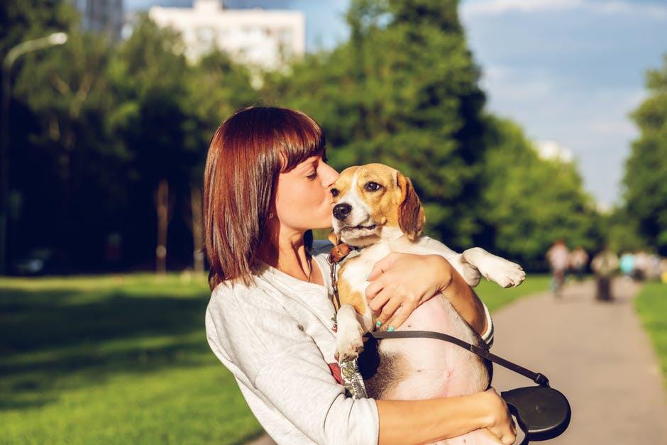 dog walking jobs