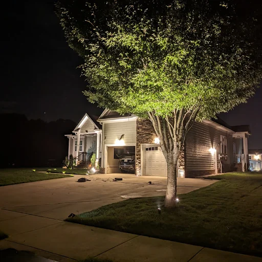 Landscape Light