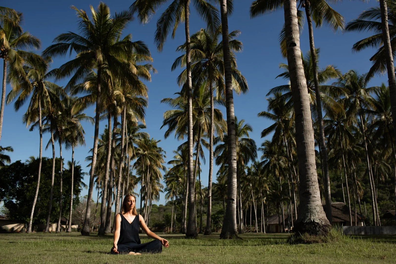Palm Beach Gardens