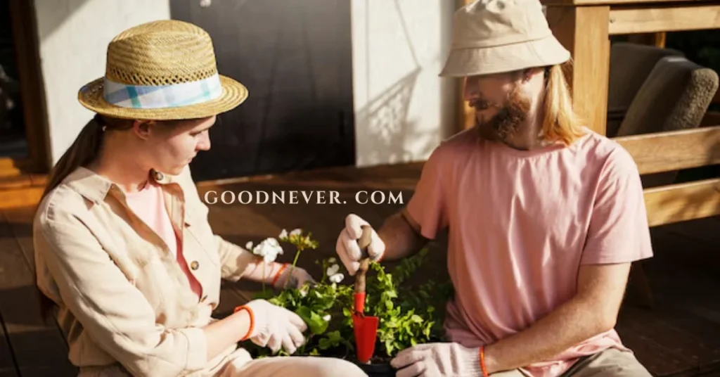 goodnever. com