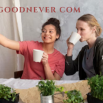 goodnever com