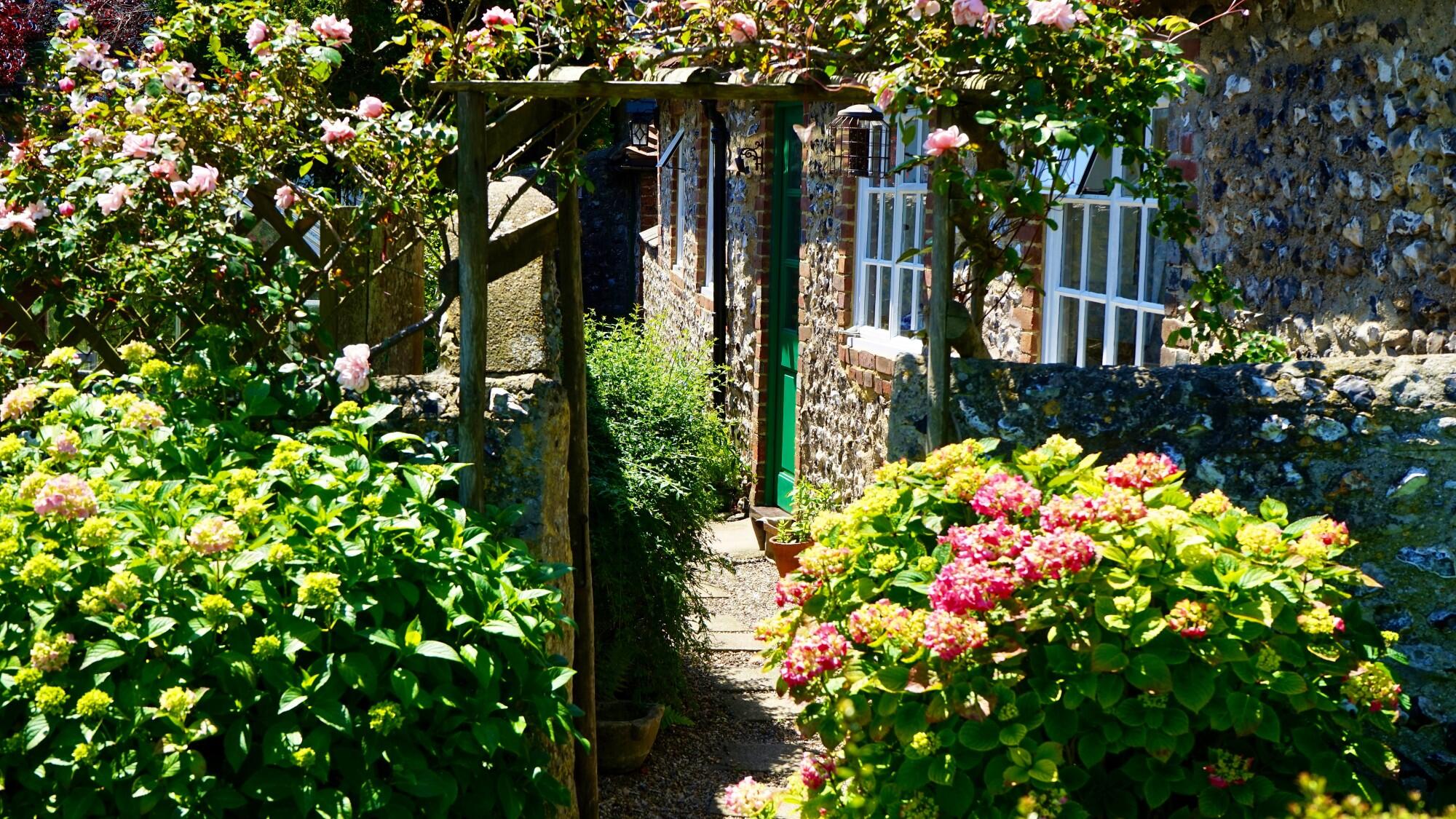 Essential Elements of a Low-Maintenance Garden