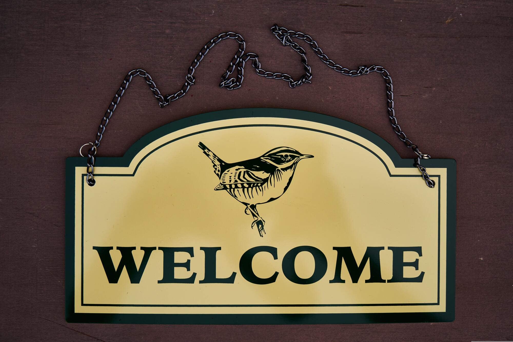 Custom Signage for Businesses: Enhance Your Brand's Visibility