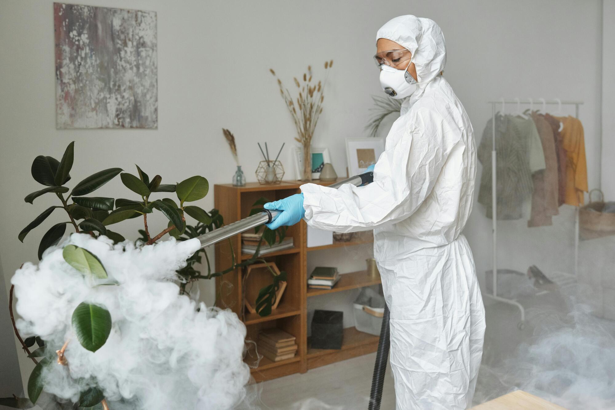 Recognizing Pest Entry Points in Business Buildings