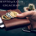 crypto30x.com gigachad