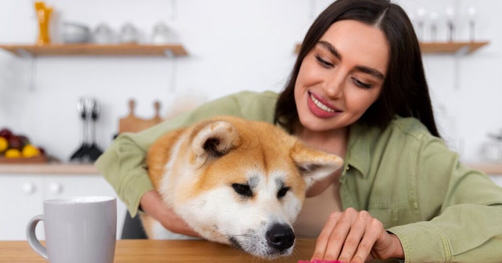 DOG'S ALLERGIES