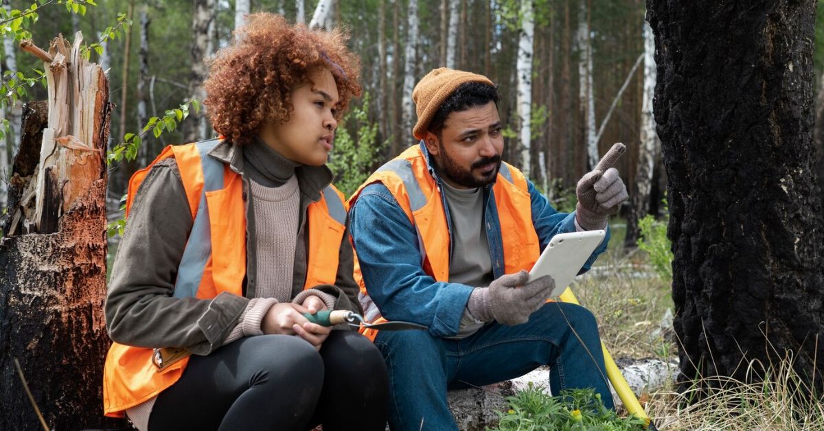 Private Native Forestry Codes