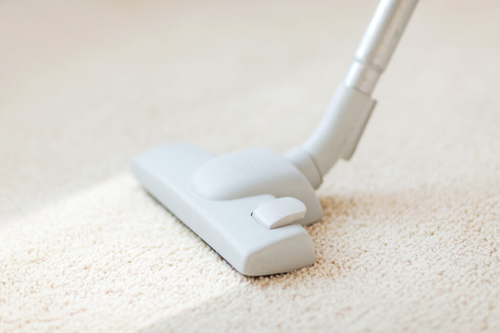Trusted Carpet Cleaning Experts for a Healthier Home