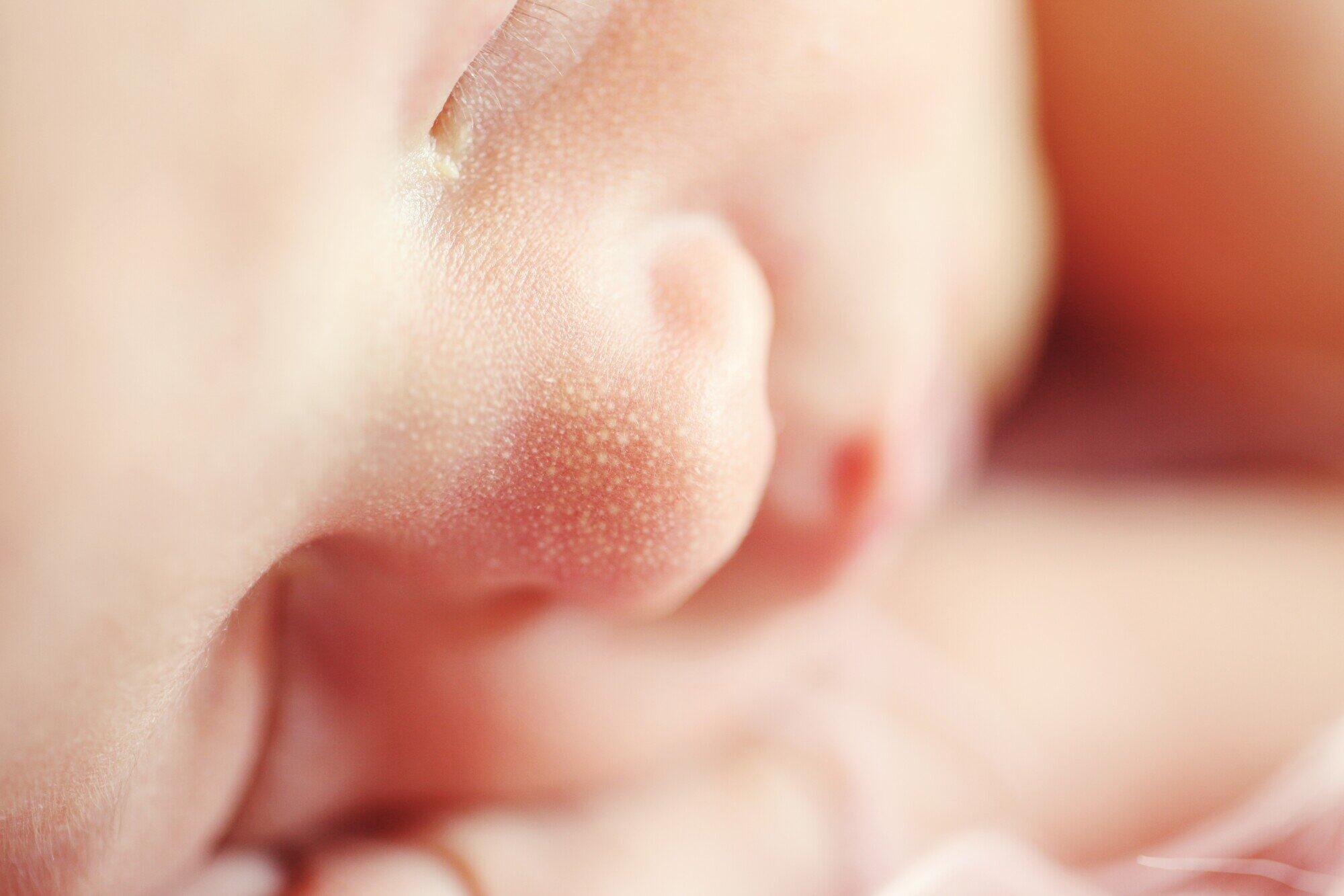 Your Newborn