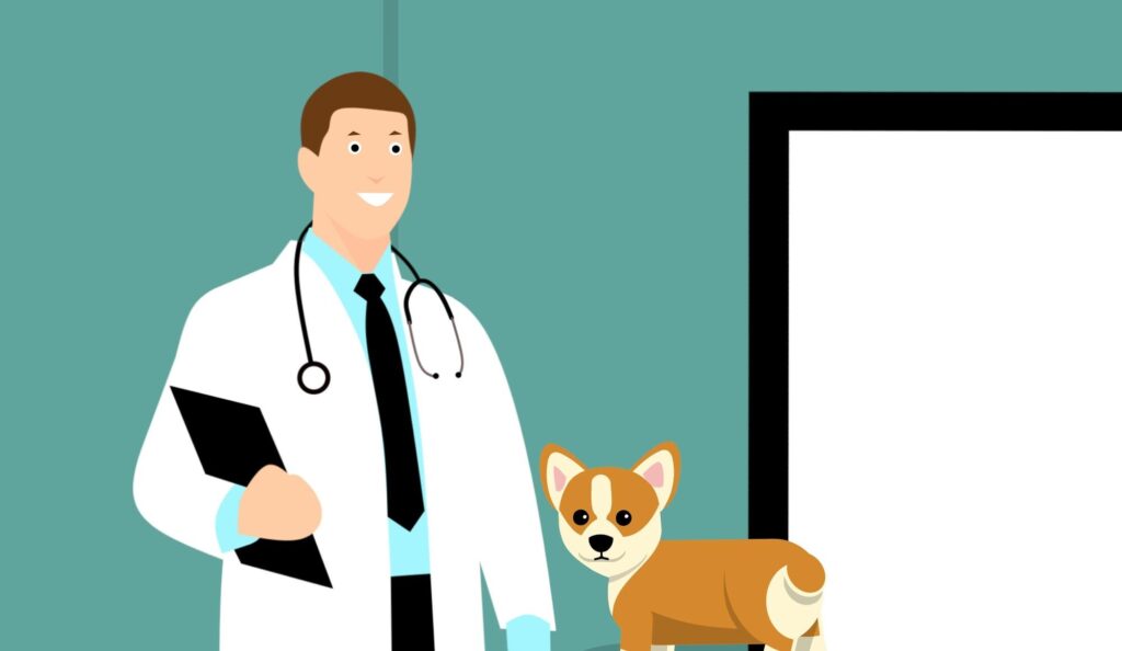 The Role of Nutrition in Enhancing Pet Health and Longevity