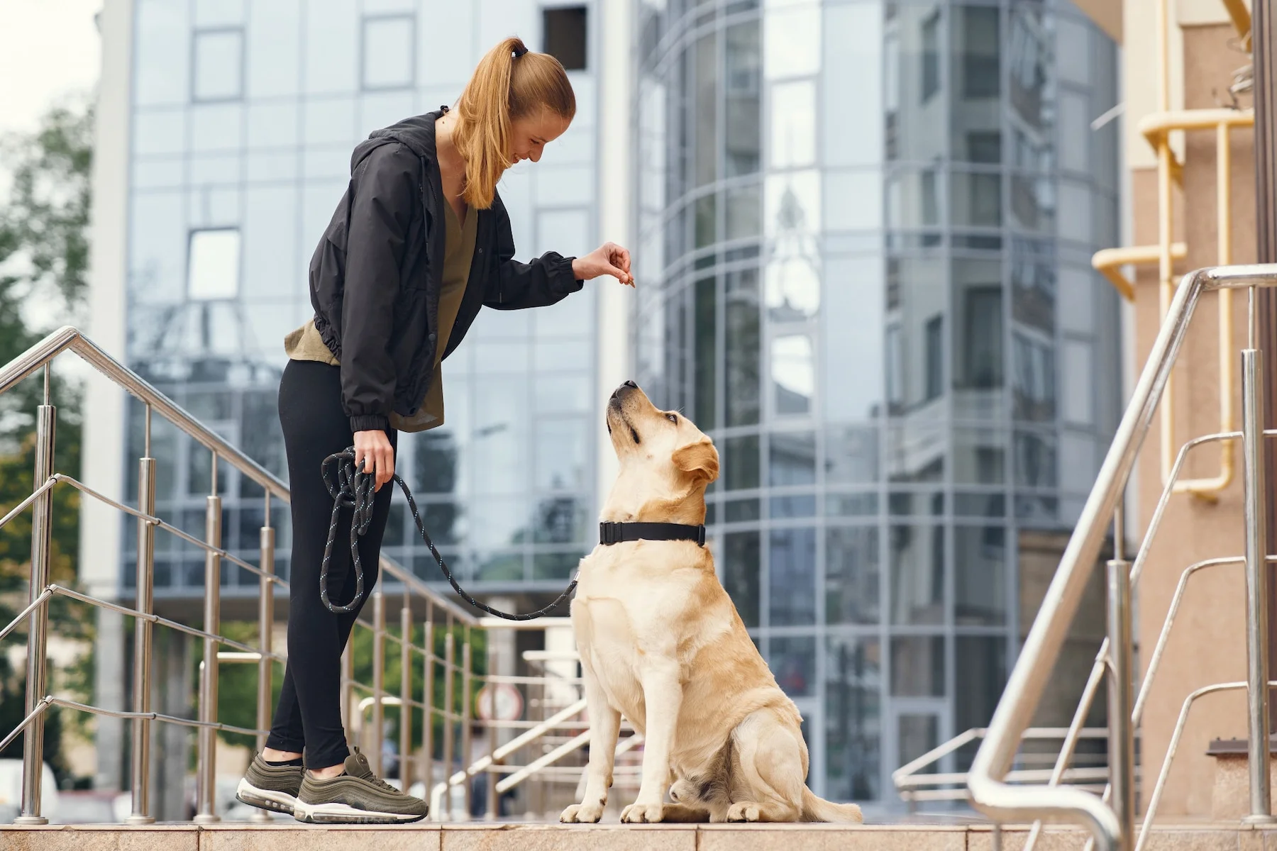 When to Call a Dog Bite Lawyer