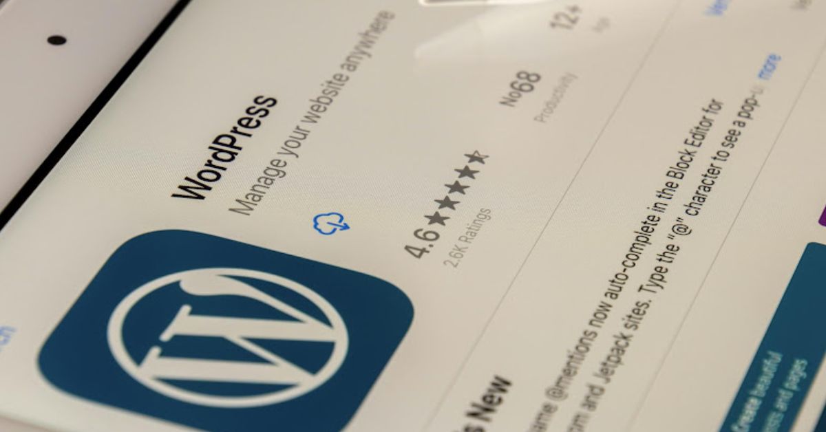 Premium WordPress Maintenance Services