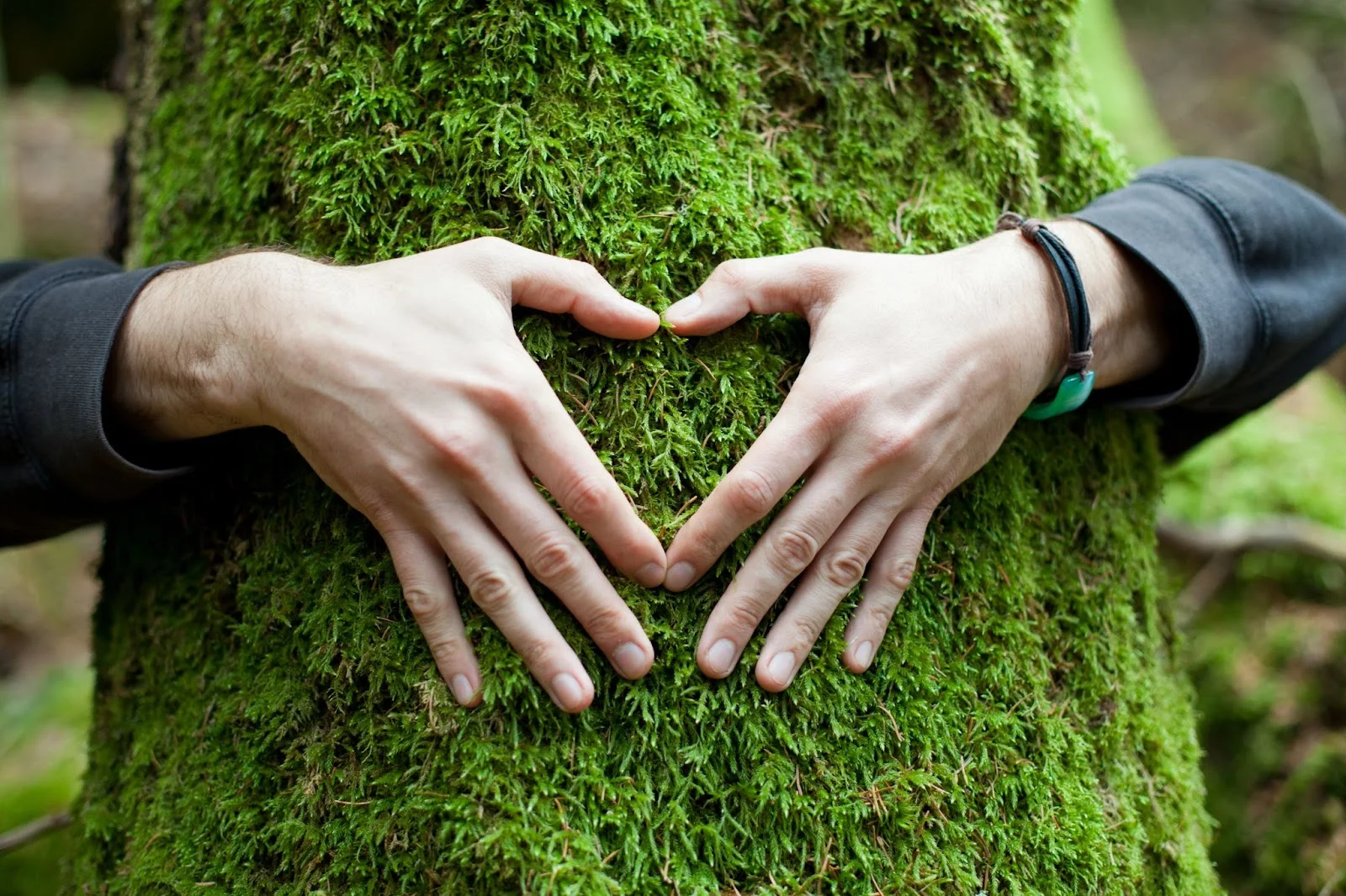 Environment and Mental Health