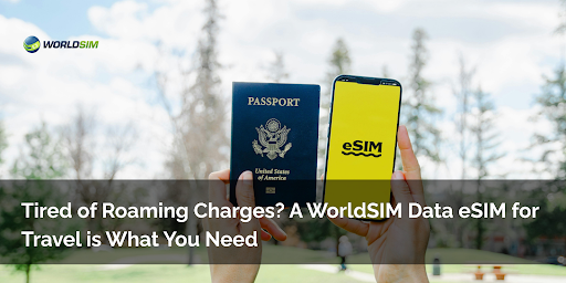 data eSIM for travel