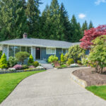 How Tree Aesthetics Enhance Home Curb Appeal