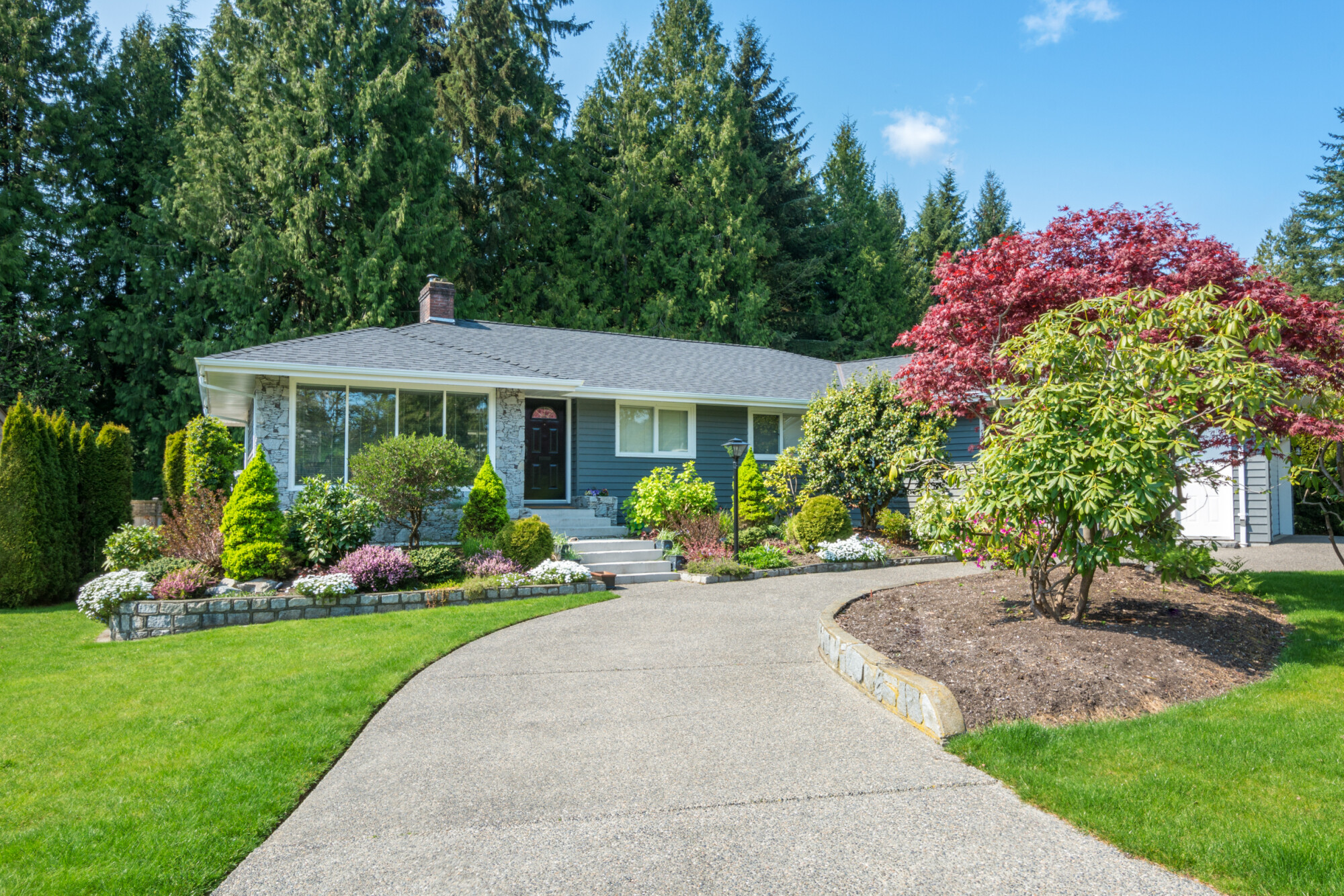 How Tree Aesthetics Enhance Home Curb Appeal
