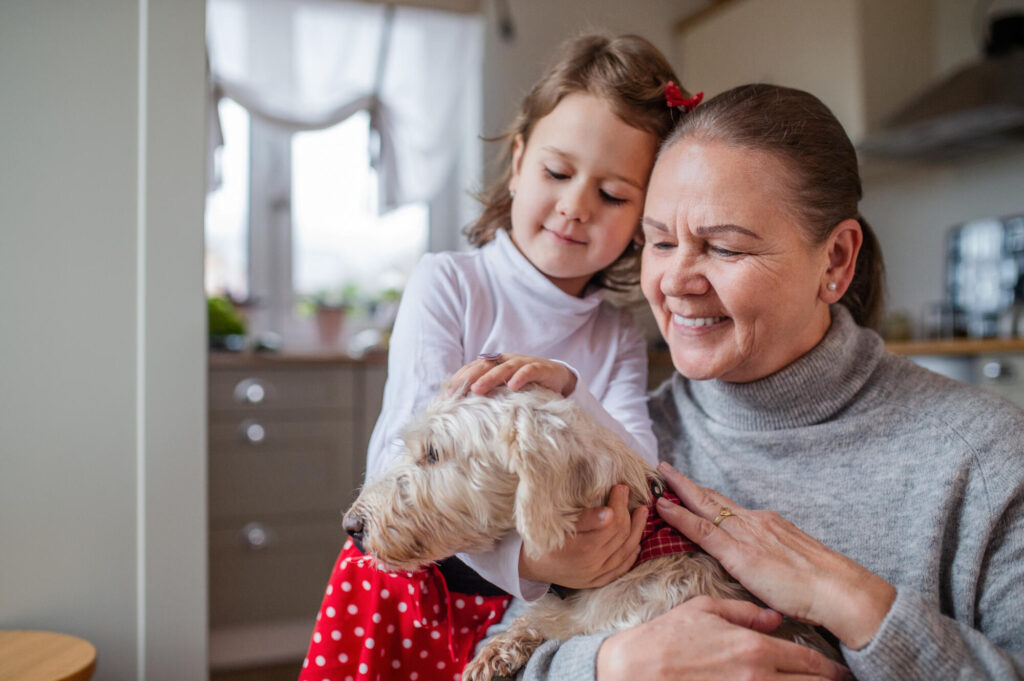 The Role of a Pet Travel