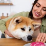 The Nutritional Benefits of Yogurt for Dogs and How to Safely Incorporate It Into Their Diet