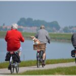 Engaging Senior Lifestyle Activities for Health and Happiness
