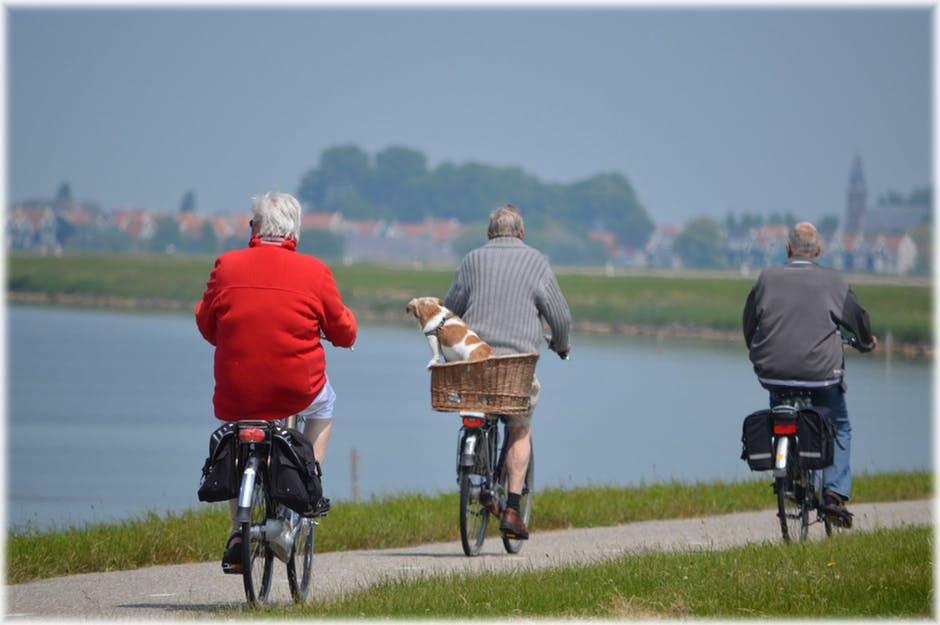 Engaging Senior Lifestyle Activities for Health and Happiness