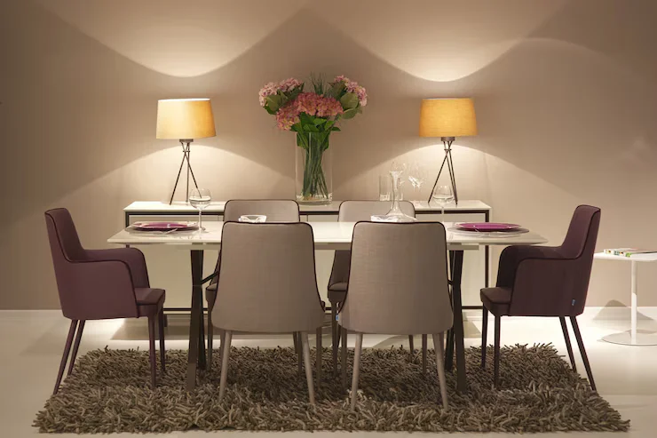 Modern dining chairs