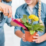 Growing Pot