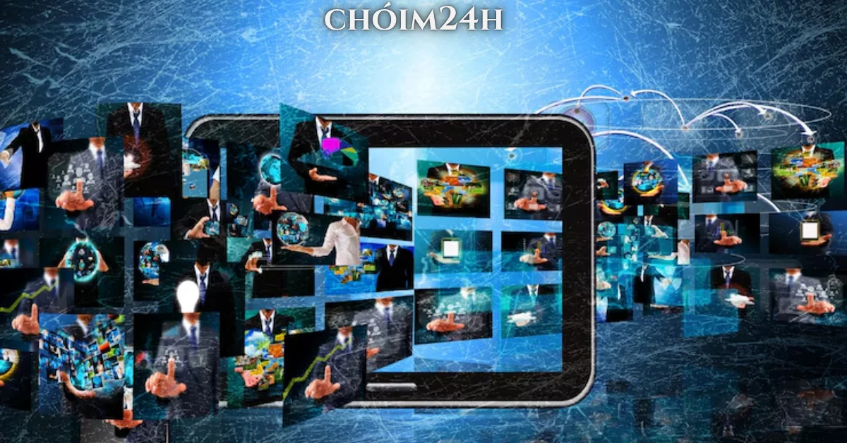 chóim24h