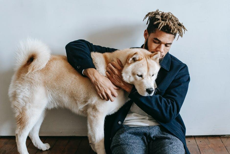 Discover essential tips for keeping your pets healthy and happy with expert advice on nutrition, exercise, grooming, and regular vet care.