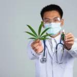 Cannabis and wellness