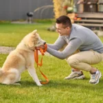 Anti bark collars