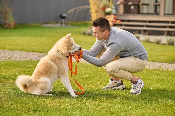 Anti bark collars