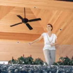 Ceiling fan