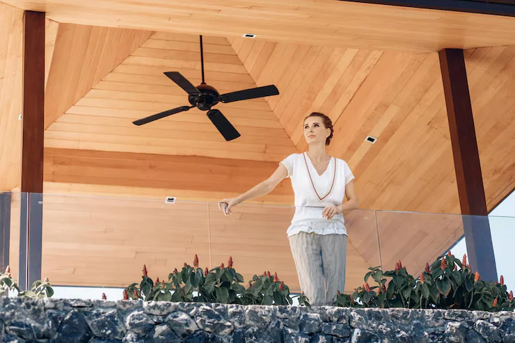 Ceiling fan