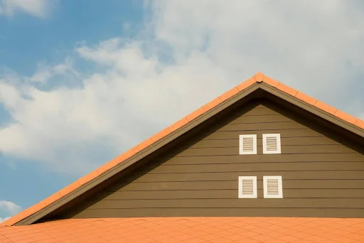 Common Roofing Issues